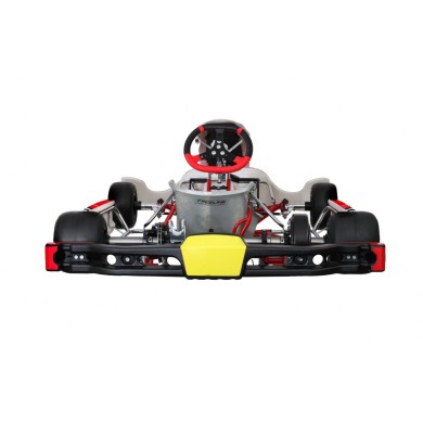 Chassis BirelArt RY 30-S18 - DD - OK - OKJ 2025!