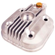 Complete Head IAME X30
