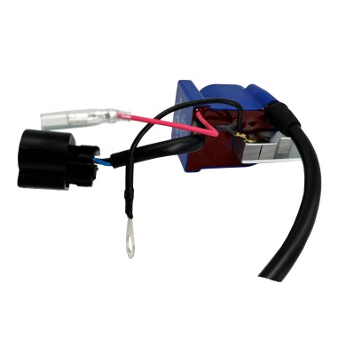 Bobina Encendido PVL MINI 60cc - Categoría U10 - ACI Sport