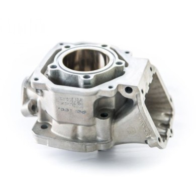 Cilindro Modello 3D Rotax DD2
