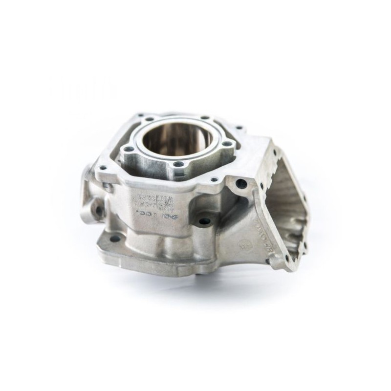 Cilindro completo Rotax 3D DD2