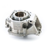 Cilindro completo Rotax 3D DD2