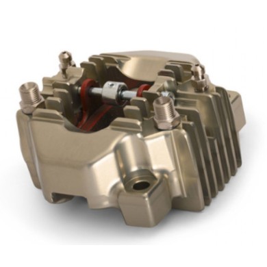 Kit Revisione Pinza Freno posteriore per BSD / SA2 / BWD OTK completo