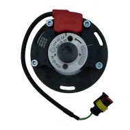 Accensione Completa Selettra - Vortex Rok SVR, MONDOKART, kart