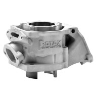Kompletter Zylinder Rotax Max – EVO II – NEU!