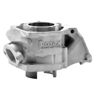 Cilindro Completo Rotax Micro Mini Junior – EVO II – ¡NUEVO!