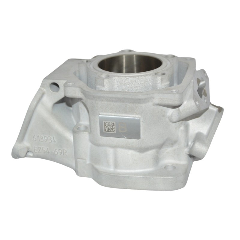 Cilindro Completo Rotax DD2 – EVO II – NEW!