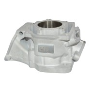 Cilindro Completo Rotax DD2 – EVO II – NEW!