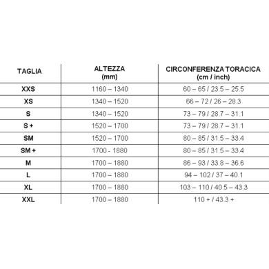 Rippenschutz / Rippenprotektor Homologated FIA BENGIO - AB1