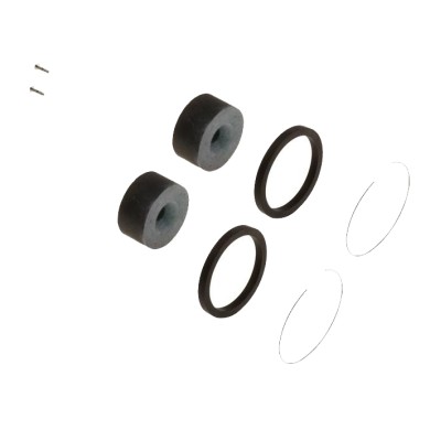 Revision Kit Front brake caliper BS5 OTK