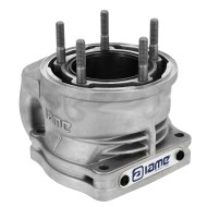 Cilindro completo IAME X30 SuperShifter 175cc Cilindro completo IAME X30 SuperShifter 175cc