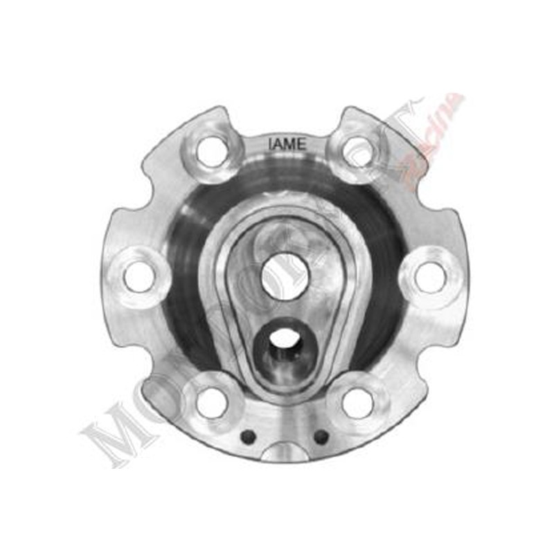 Inserto Cupola Testa Iame OK - REEDSTER IV Inserto Cupola Testa Iame OK - REEDSTER IV