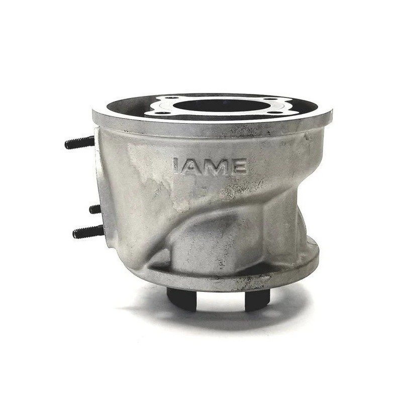 Complete Cylinder IAME Leopard