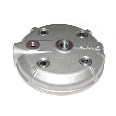 Testa completa Iame Leopard