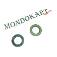 Paraolio 25x40x7 doppio labbro Teflon Paraolio 25x40x7 doppio labbro Teflon
