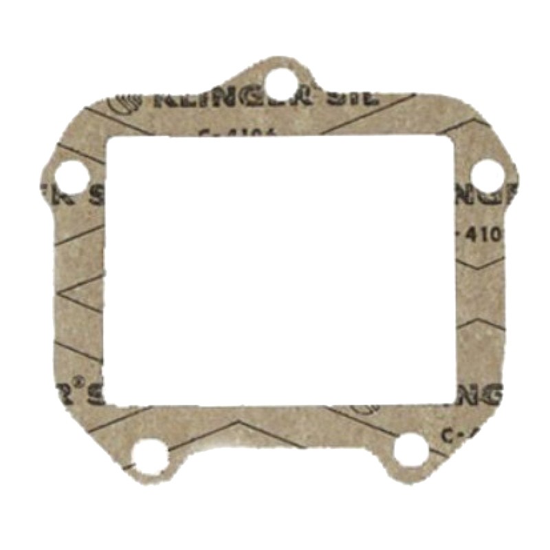 Gasket reed valve for Rotax