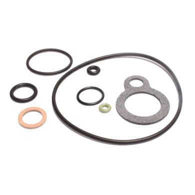 Dichtungen Kit Seals Revision PHBN Dellorto