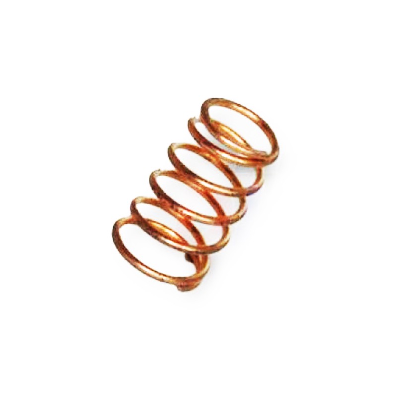 Molla compressione Rotax