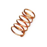Rotax Compression spring