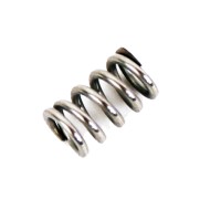 Spring Set Screw MIN/MAX Tillotson
