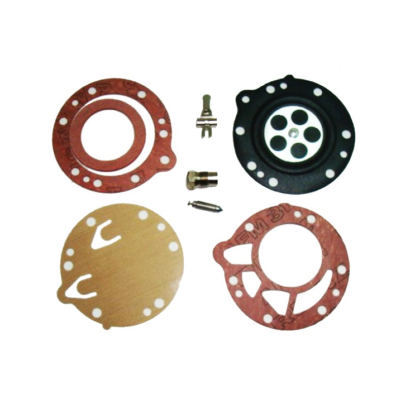 Kit Revisione completo di valvola spillo Tryton