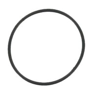 Oring Wasserpumpe Birel Freeline