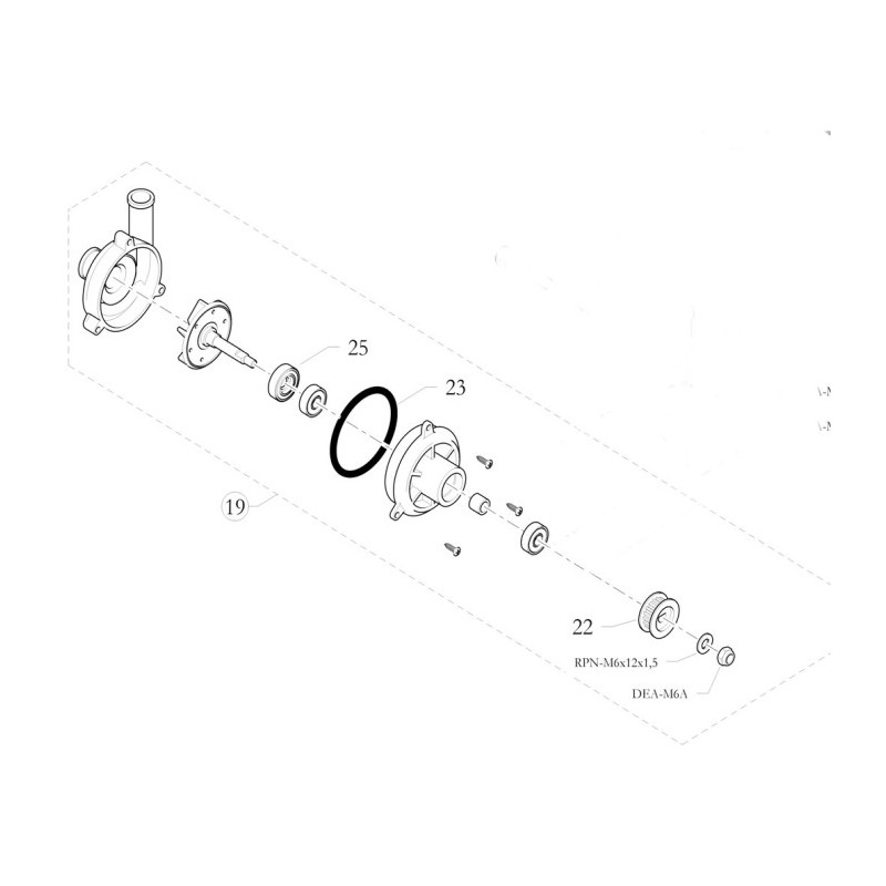 OR Revisione Pompa Acqua Birel Freeline