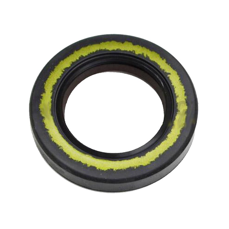 Paraolio 25x40x7 doppio labbro Teflon