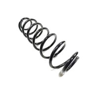 Molla elicoidale 17 mm per pompa freno Intrepid R1K R2K