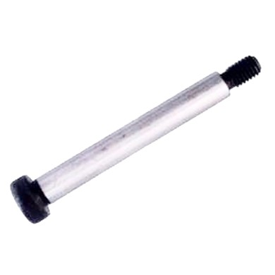 Achsschenkelbolzen M10 PCR