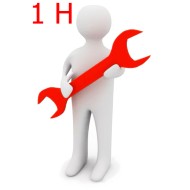 Manodopera (Costo orario 50€)