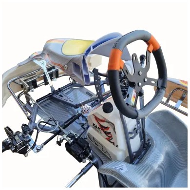 Chasis KZ KR1 KR2 Kart Republic KR 2026 !