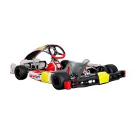 Telaio BirelArt RY 30-S19 - DD - OK - OKJ 2026!