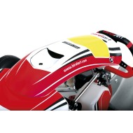 Chassis BirelArt Mini C28 S19 2026!