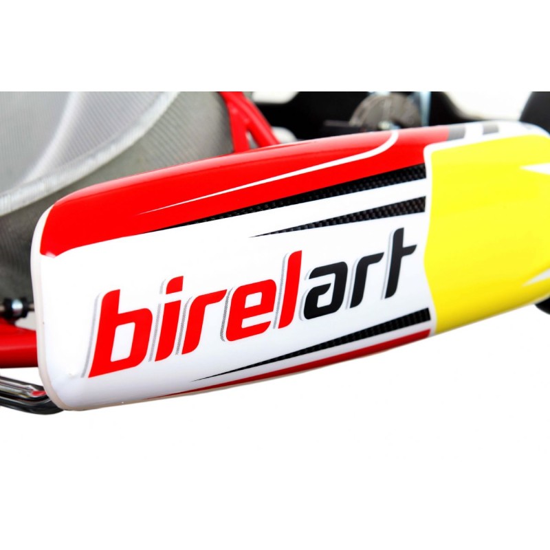 Chassis BirelArt Mini C28 S19 2026!