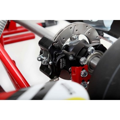 Chassis BirelArt Mini C28 S19 2026!