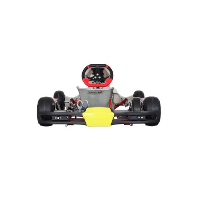 Chassis BirelArt Mini C28 S19 2026!