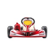 Completa Kart Birel Easykart 50cc NUEVO !!
