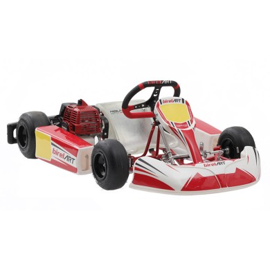 Completa Kart Birel Easykart 50cc NUEVO !!