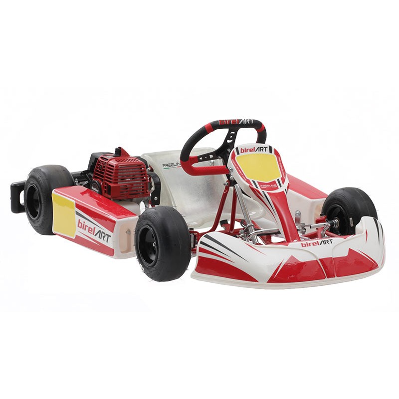 Kart completo Birel Easykart 50cc NEW!!