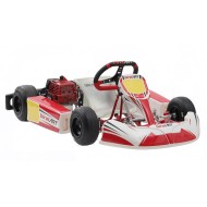 Completa Kart Birel Easykart 50cc NUEVO !!