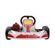 Kart complet Birel Easykart 50cc NOUVEAU !!