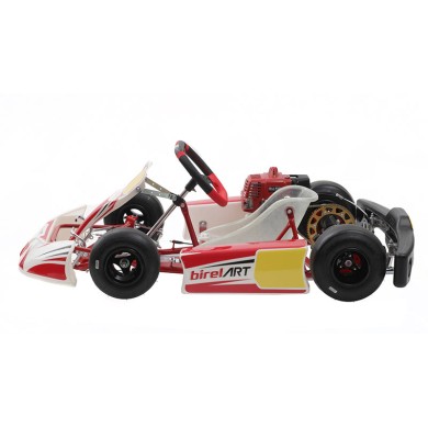 Complete Kart Birel Easykart 50cc NEW !!
