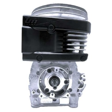 Engine TM MINI 4 - 4B – 60cc – Mini & Under10 Categories – NEW!