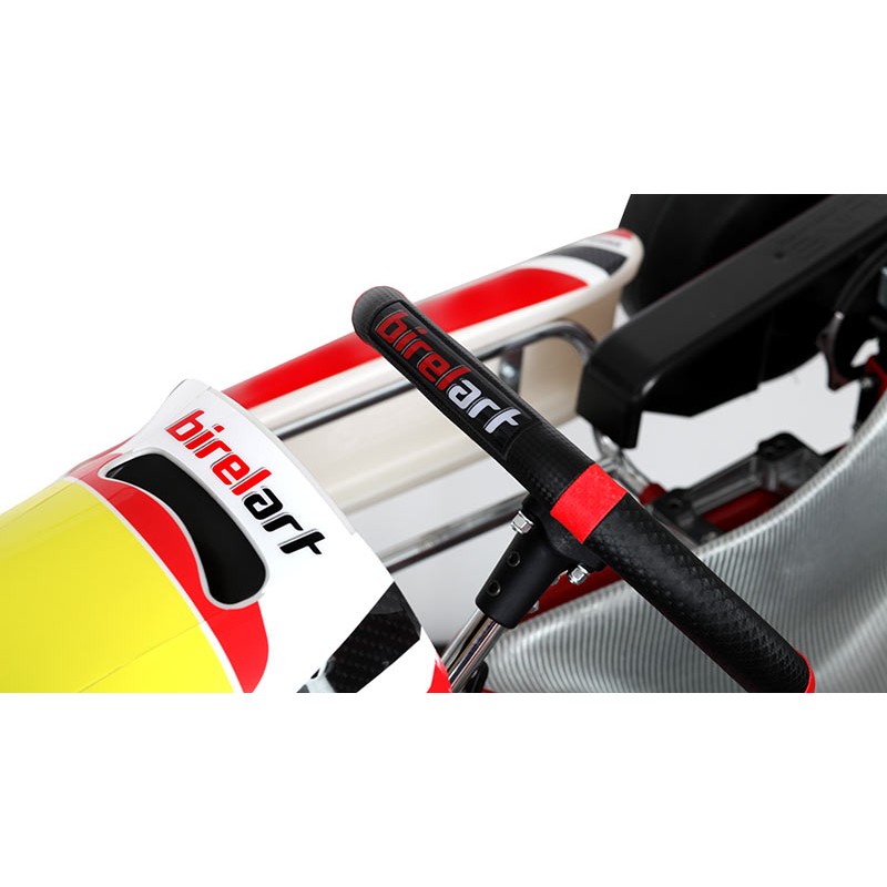 Chassis BirelArt Mini C28 S19 2026!