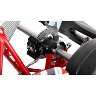 Chassis BirelArt Mini C28 S19 2026!