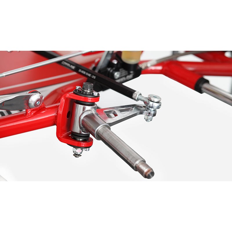 Chassis BirelArt Mini C28 S19 2026!