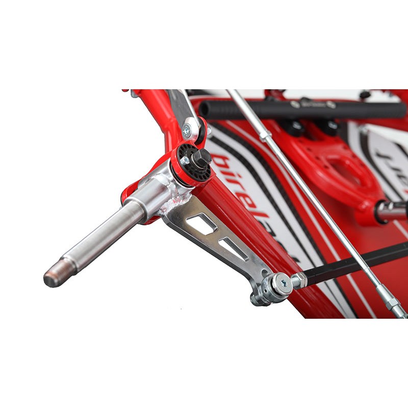 Chasis BirelArt Mini C28 S19 2026!