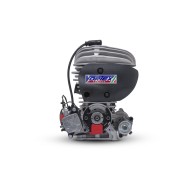 Moteur Vortex MINI VTM (FIA Karting)