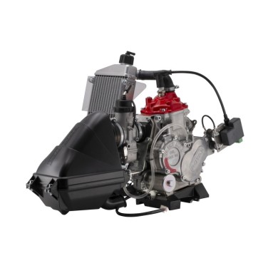 Motore Rotax JUNIOR EVO